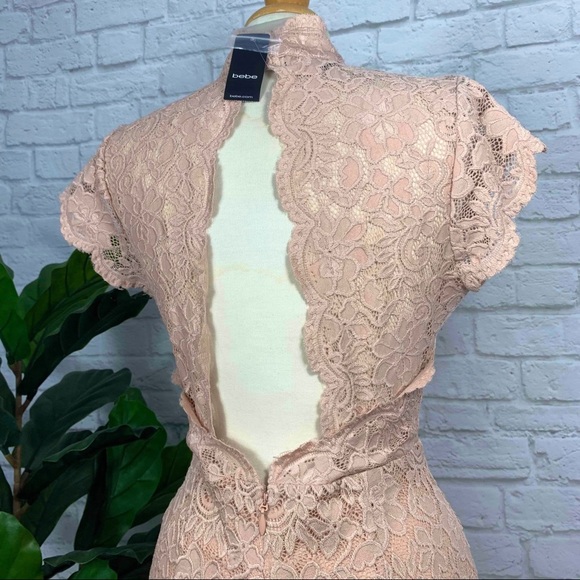 BEBE pastel scallop lace open back cocktail romper - Picture 5 of 7